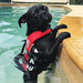 EzyDog Micro Doggy Flotation Device DFD 3