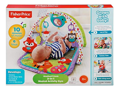 Fisher-Price Musical Activity Gym 3-in-1, Woodland 1