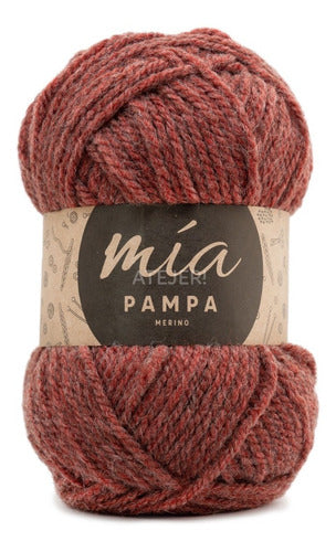 MIA Pampa Merino Semi-Thick Yarn Skein 100 Grams 66