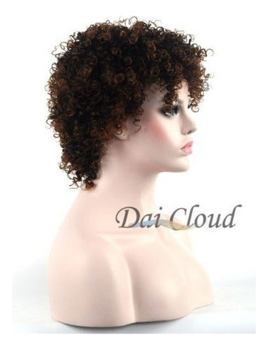 Cosplay Women Short Ruffled Curly Afro Dark Brown Wig 2