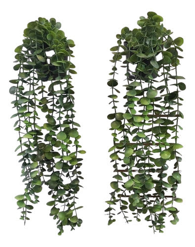 Pack of 2 Hanging Artificial Eucalyptus Plants with Black Pot 0