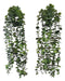 Pack of 2 Hanging Artificial Eucalyptus Plants with Black Pot 0