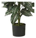 Nearly Natural Zebra Silk Plant 6542, 3 Feet, Green 1