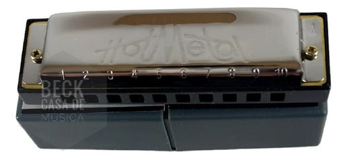 Hohner Hot Metal Harmonicas C, G, A Pack of 3 6