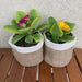 Arpi Contenedores Round Burlap Basket Set of 2 2