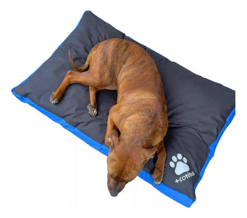 Mascotitas Colchon Cama Perro Pequeños 80x60 Antidesgarro 0