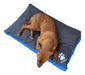 Mascotitas Colchon Cama Perro Pequeños 80x60 Antidesgarro 0