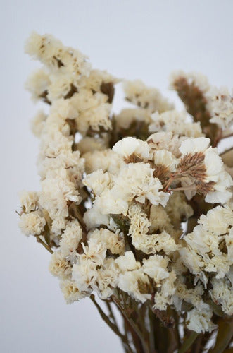 Dried White Statice Flower Bouquet 5