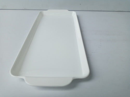 JL Plastic Tray for Pionono 2