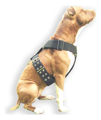 FTZ Pit Bull Collar Halti Harness Dog Leash 2