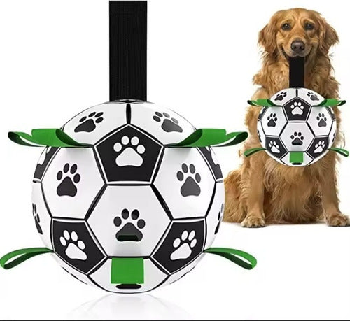 SCards/com/ar Interactive Dog Toy Ball for Pets and Kids 1