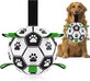 SCards/com/ar Interactive Dog Ball Toy for Pets and Kids 1