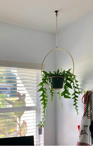 Handcrafted Hanging Plant Holder, Iron Deco 8