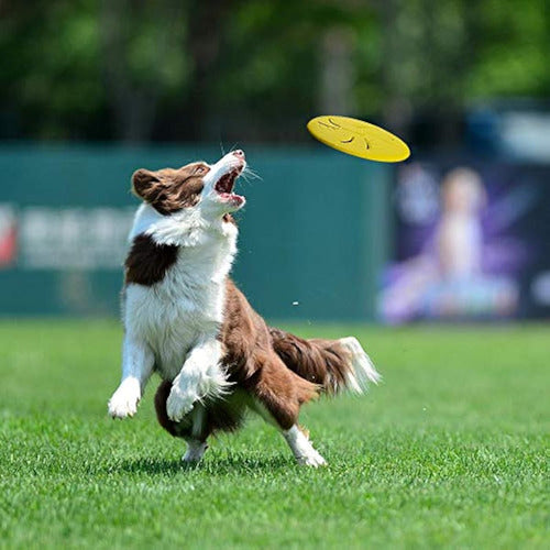 Disco Volador Indestructible Para Perros, Juguetes 5