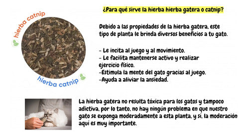 PET JINGLE Tubo Catnip Deshidratado Hierba Gatera Atrayente Gato Gatito 1