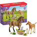 Juguete Set Caballo Granja Con Cría Niños Schleich 1