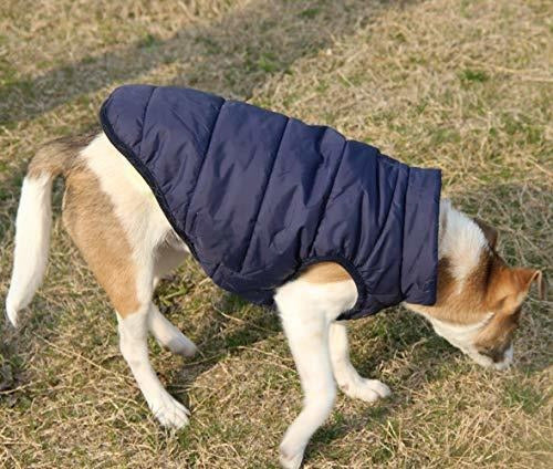 Mascota Perro Capa Acolchada Chaqueta Ropa Chaleco Azul Xl 2