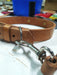 Leather Collars with Bronze Identification 2