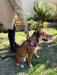 Helios Dog Training Harness Size M 9