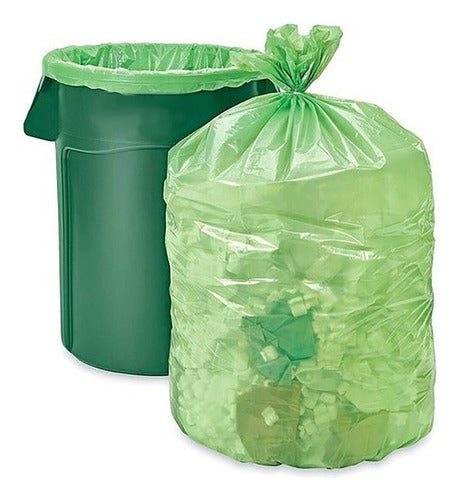 Stendy Green Waste Bags 80x110 X100 Units 0