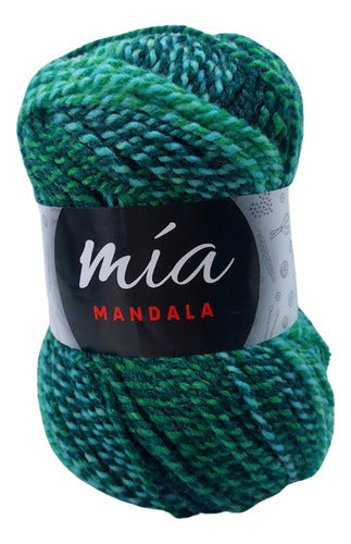 MIA Mandala Variegated Yarn - 5 Skeins of 100g Each 42