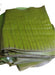 Hojas Platano - Banana Leaves 1