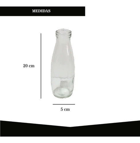 Botella De Vidrio (pack X 20) 1