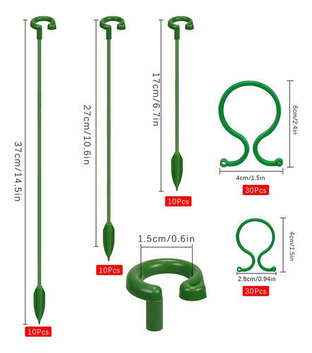 30 Peças De Estacas De Suporte De Plantas, Anéis De Suporte 1