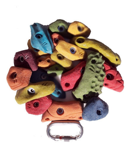 30 Climbing Holds for Kids 0