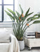 Zotami Plantas Strelitzia Reginae Flor Pajaro Ave 7L Naranja 3