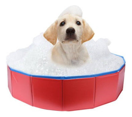 Nos Stock Gato Piscina Baño Cachorro Mascota Al Aire Libre/d 6