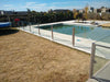 Pool Safety Fence. Blindex Glass Fences 6
