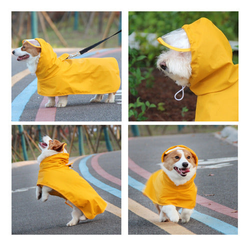 Poncho Ao Ar Livre Transparente Com Capa De Chuva Poncho Dog 4