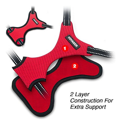 Voyager Step-in Flex by Best Pet Supplies - Harness 4