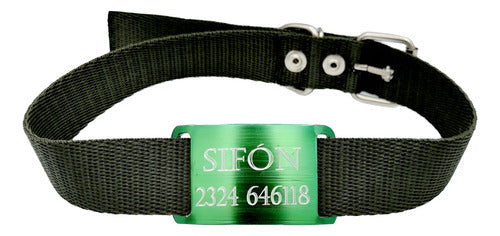 Medallas Para Perros Chapitas Perros Pasador Verde + Collar Negro 3x65cm 1