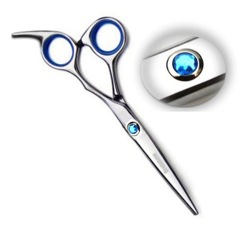 E-Shop Peluquería Professional Hairdressing Kit: Scissors + Set of 10 Combs + Cape 4