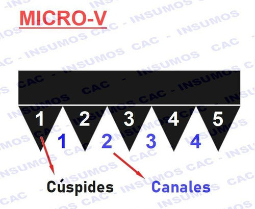 Micro-V Belt 5J230/5J585 x5 Cusps Pix 2