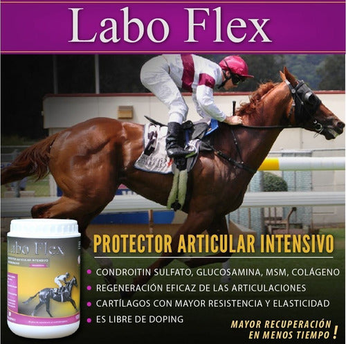 Laboflex Para Articulaciones, Regenerativo + Asesoramiento 1