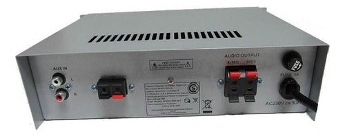 GBR Amplifier USB Mic Bluetooth RCA 12V 220V Line 100V 0