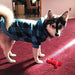 Kooltail Plaid Hoodie for Small and Medium Dogs and Cats 3