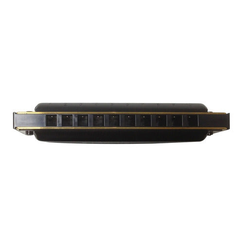 Hohner Pro Harp Diatonic Harmonica 20 Voices in A 5