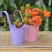 Plantaspaty Metal Bucket in Colors for Hanging 5