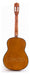 Classical Creole Guitar with Case 25