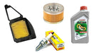 Castrol Oil Filter Spark Plug Service Kit for Yamaha SZ 150 Tala 0