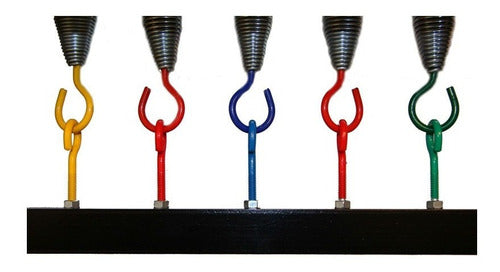 Pugliese Pilates Reformer Springs - Choose Your Colors - Set of 4 2