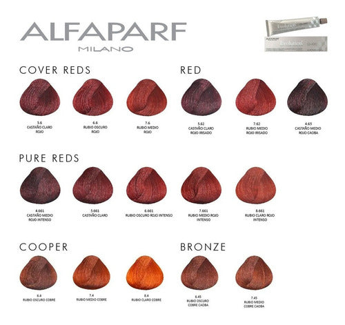 Alfaparf Evolution Cube Professional Hair Dye X12 6