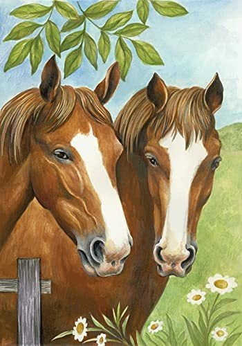 NAIMOER 5D Diamond Painting Horse Kits, Full Drill Round Diamond Arts Twin Horse For Adults Gem Painting, Diamond Painting Animals Gifts For Home Wall Decor 11.7x15.8 Inch Horse 0