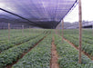 Malla Sombra Verde 35% Agricola Invernaculo - 25 X 4.20 Mts 3