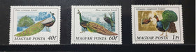 Hungary Stamps Birds Theme 6 Mint Stamps 1977 1