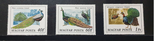 Hungary Stamps Birds Theme 6 Mint Stamps 1977 1